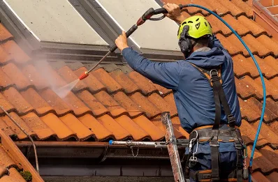 Démoussage et hydrofuge de toiture à Trizay